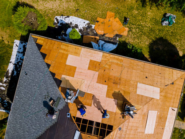 Best Local Roofing Companies  in Southwest Sandhill, TX